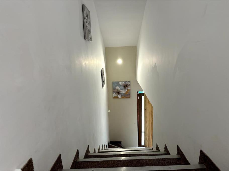 Luxury Duplex In Center *