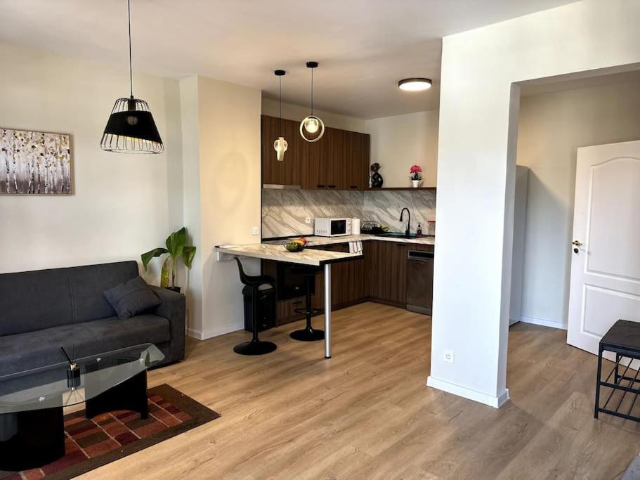 Apartamento Luxury Duplex In Center Sofía